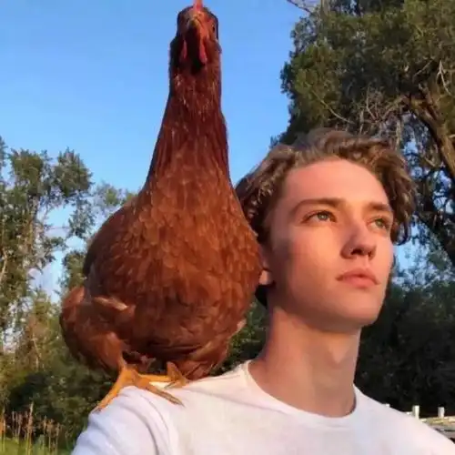 6686体育高级作者Rafael