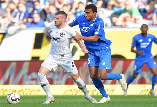 霍芬海姆 vs 法蘭克福